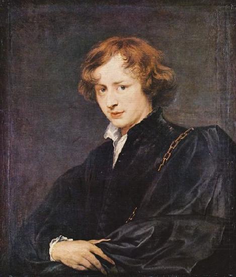 Anthony Van Dyck Selbstportrat oil painting picture